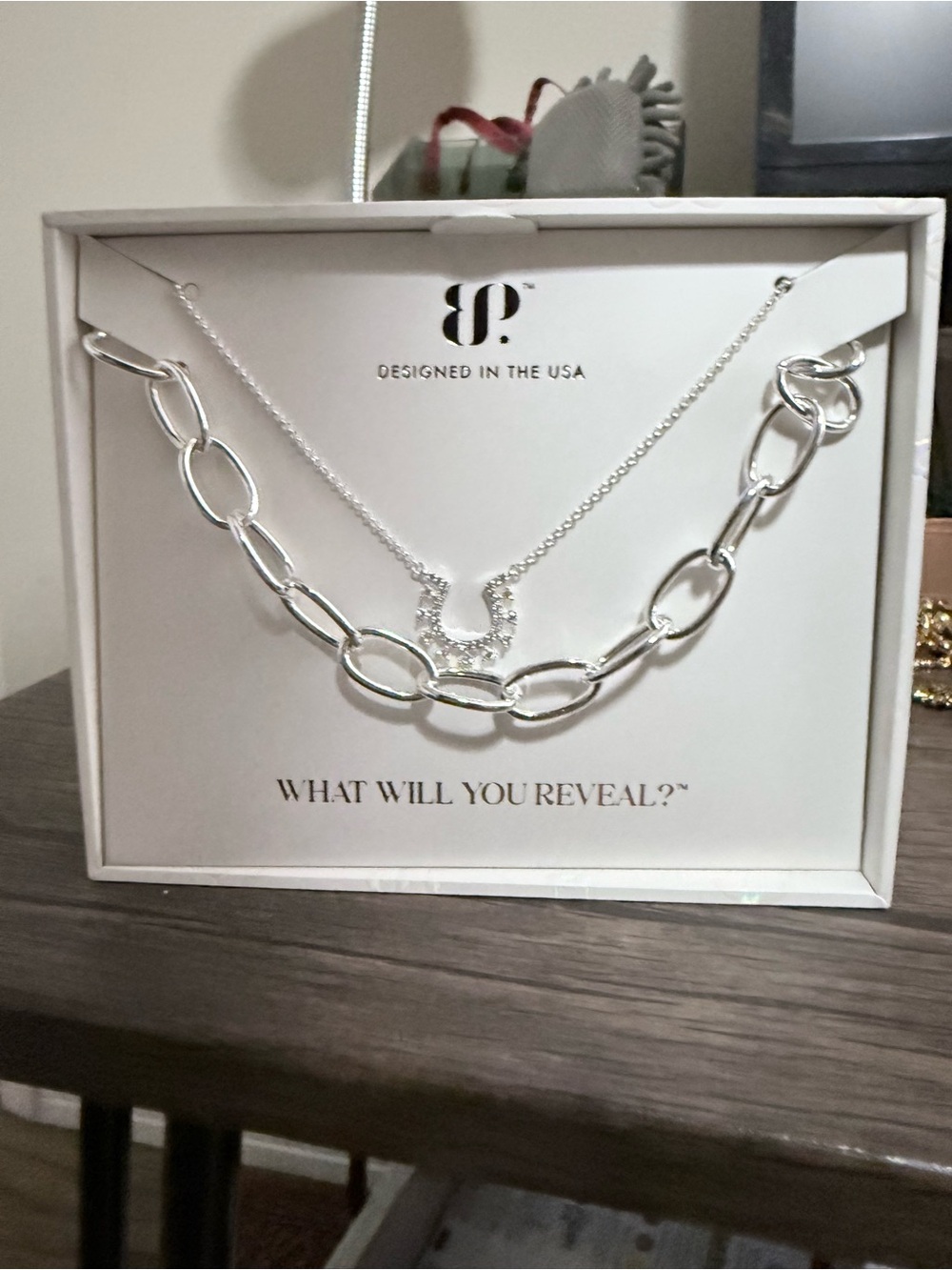 Silver Layered Necklace Set with Sparkling Horseshoe Pendant